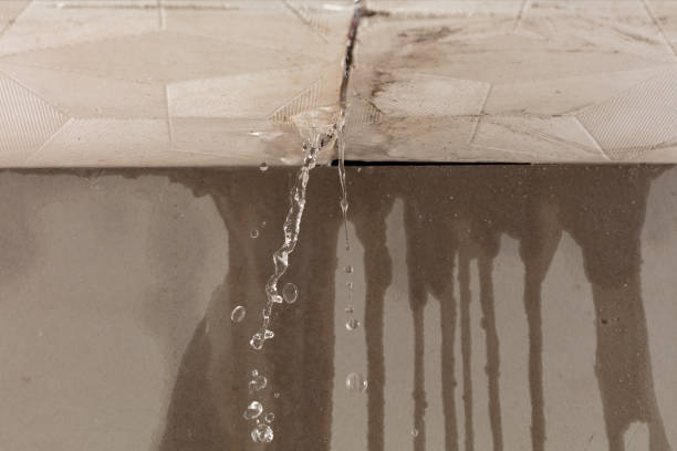 Professional Structural Drying technician working in Greentown, OH